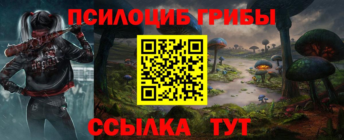 Галлюциногенные грибы Psilocybine cubensis Гуково