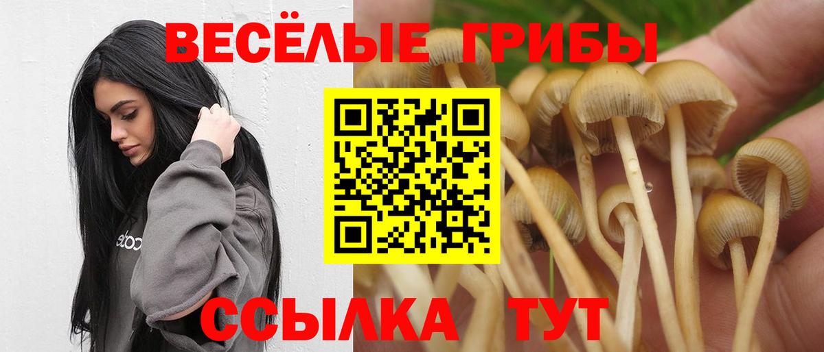 Галлюциногенные грибы MAGIC MUSHROOMS  купить наркотики сайты  Гуково  Вход с VPN 